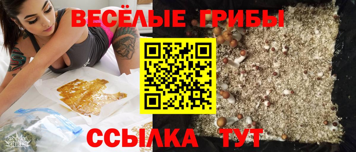 Псилоцибиновые грибы Cubensis  где купить наркоту  Клинцы  Вход с VPN 